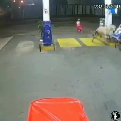 Indian mayhem