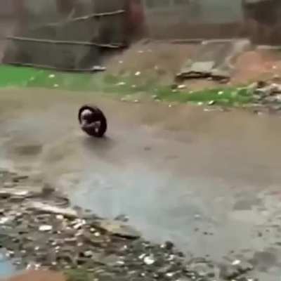 Kid takes a U turn.
