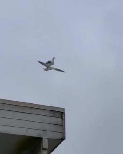 HUEstation - Video #7379