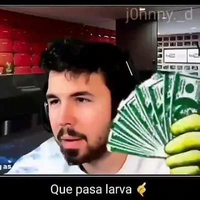 Que pasa larva