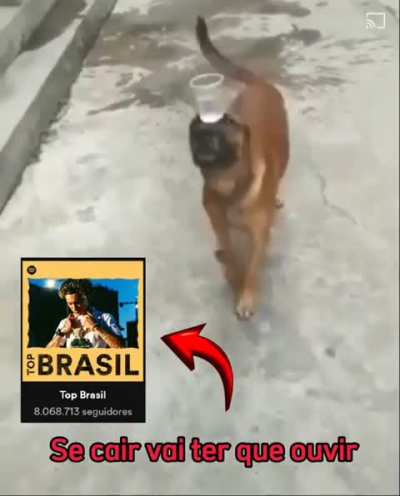 eu_nvr