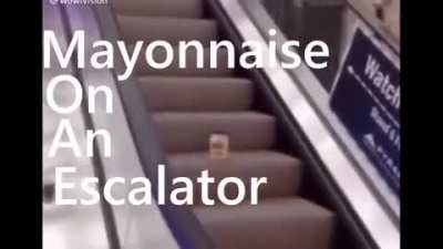 mayonise