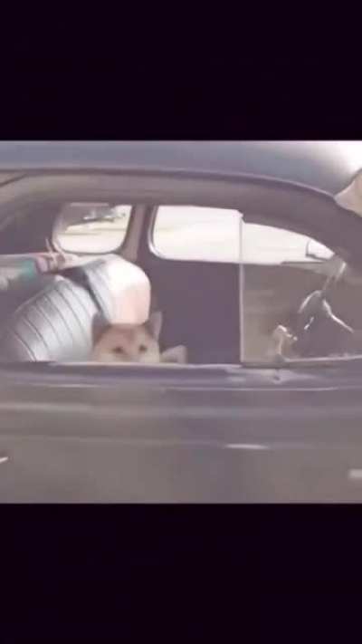 Back off!