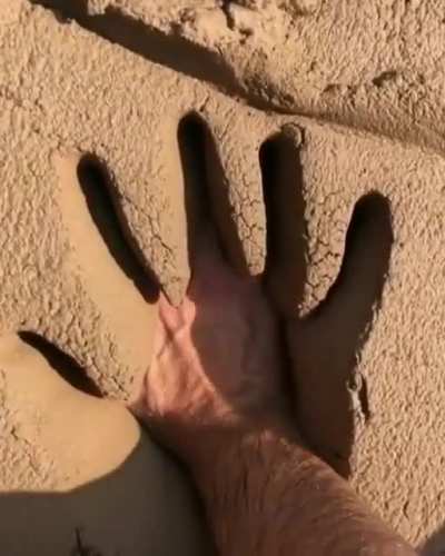 soft mud