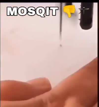 moskiton,t