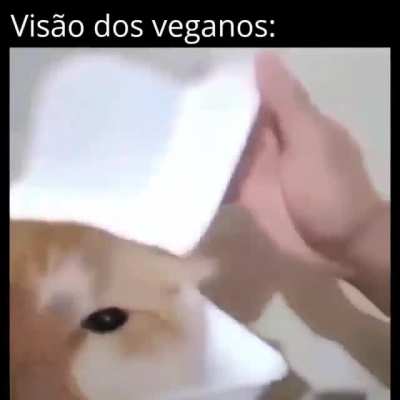 Agora tudo t&aacute; esplicado