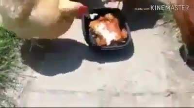 Oh n&atilde;o