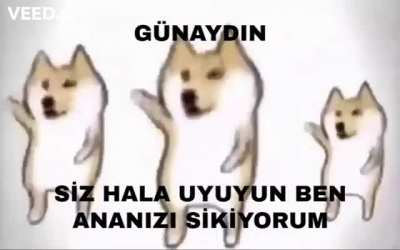 G&uuml;naydın