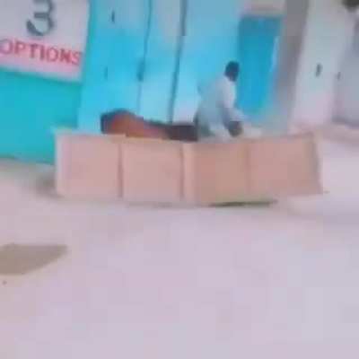 S&iacute;tio do muca amareloooooo