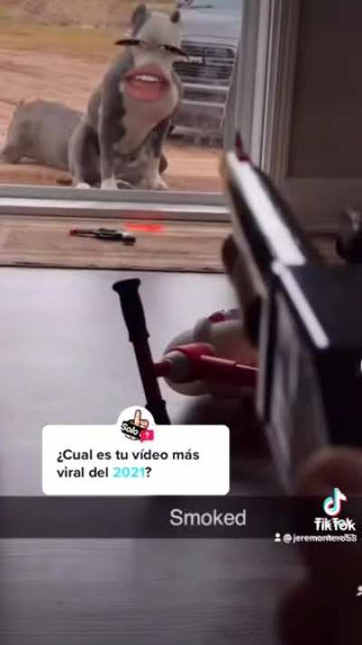 Jjjj
