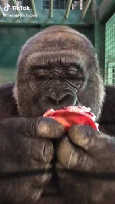 A gorilla eating a pomegranate. That is all