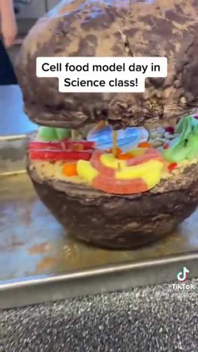 Kids impressed by another students science project