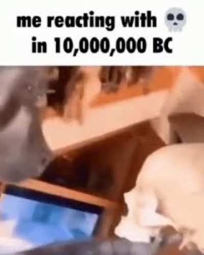 💀