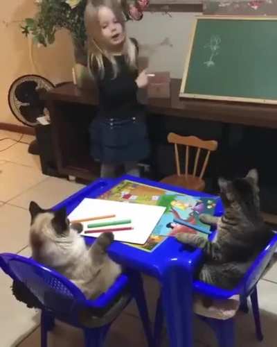 The teacher is very enthusiastic, but the students do not understand