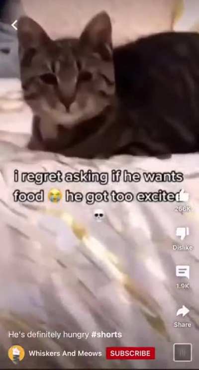 I think he&rsquo;s hungry, idk tho