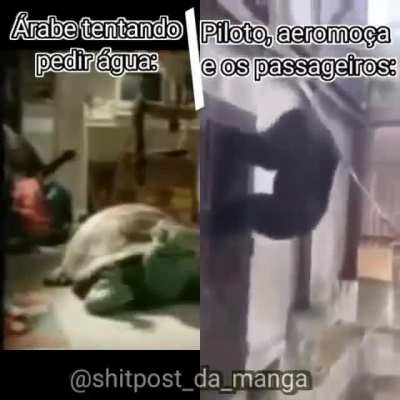 Meme aleat&oacute;rio #1