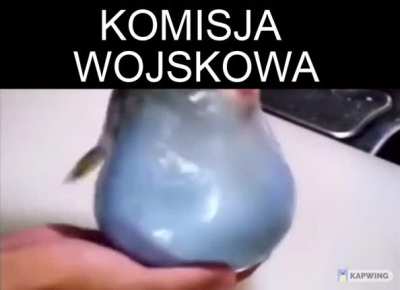 🥚🥄👩&zwj;⚕️