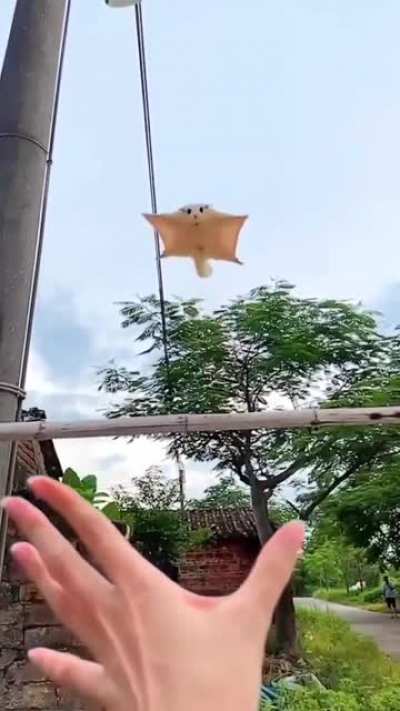 I can&rsquo;t stop watching this So Cute