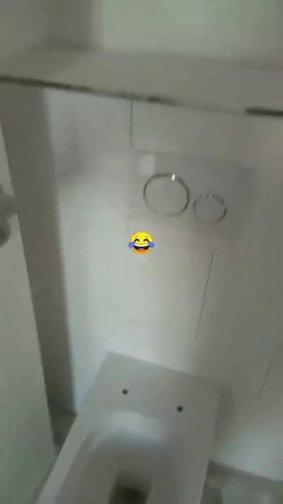 Special Polish toilet