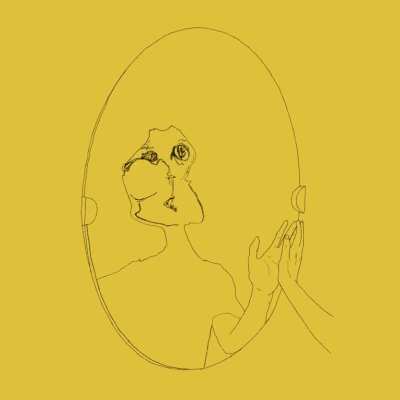when you look in the mirror on acid