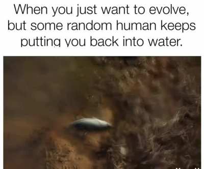 This human main is preventing a fish main from evolving. Some human mains ugh
