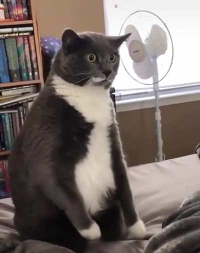 MRW I try to learn a TikTok dance........