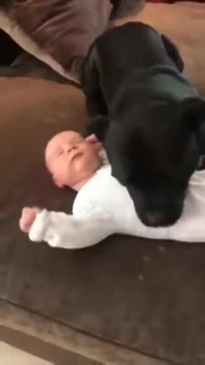 I love you, lil&rsquo; hooman.