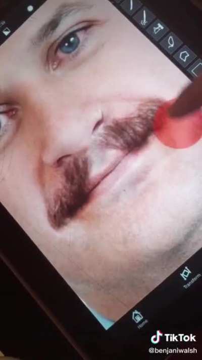 Leo Varadkar | Post Malone Mashup