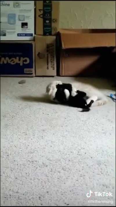 You dead