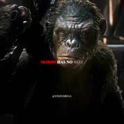 Monkey n&atilde;o tem rizz