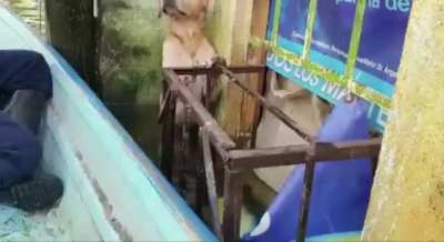 Secretar&iacute;a de Marina siempre heroica.