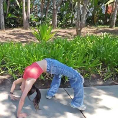 Fuslie back bridge