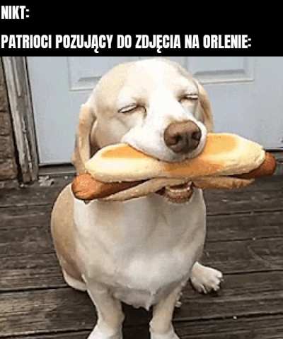 Patriotyzm