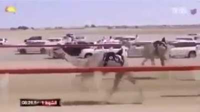 Formula 1 in the Middle East be like 🐫🔥 🐫🔥 🐫🔥 🐫 🔥 🐫 🔥🐫 🔥