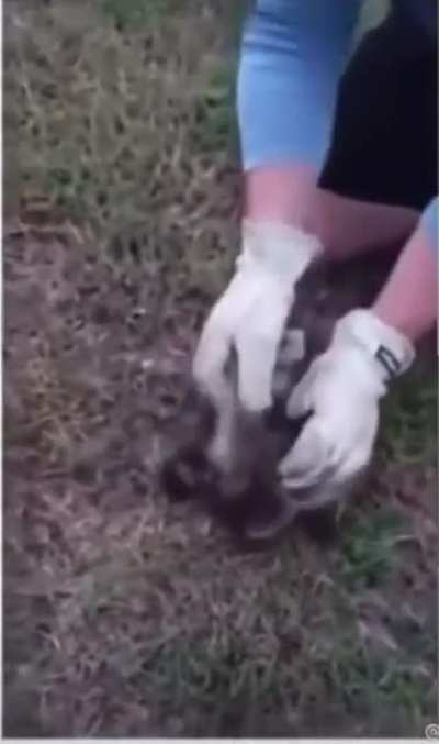 The little guy had to prepare for that scream.
