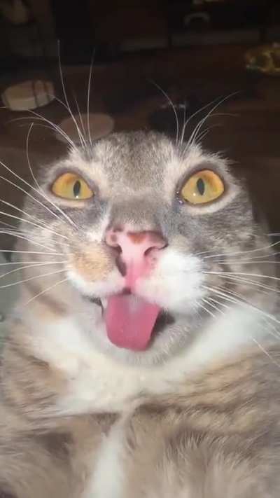 Wunk is a FREAK!