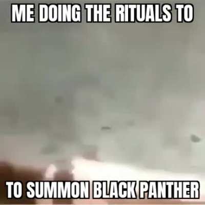 😸🐈🐈😸😸😺🤲🤲🛐🛐🛐