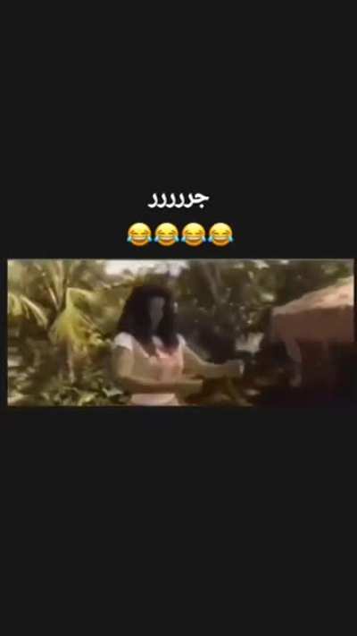 🎵🎶🎵🎶