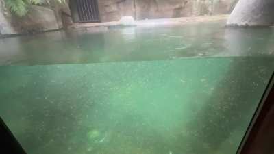 Prague Zoo