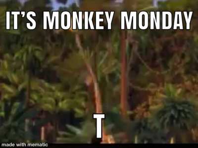 ml leg monkey monkey monster monekt