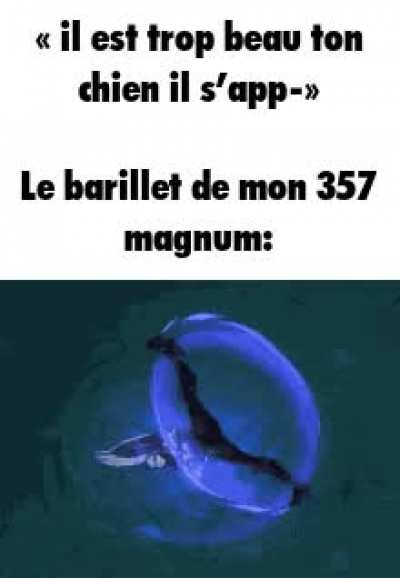 c mon doggo😡😡