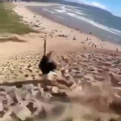 That&rsquo;s one way to get down a hill...
