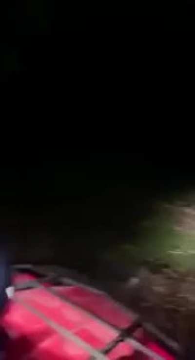 It was recorded in Tikal Guatemala a few months ago, whoever recorded the video said that he had never heard anything like this in his years as a park keeper. What could that have been?