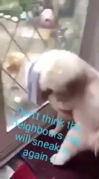 Blursed_neighbor