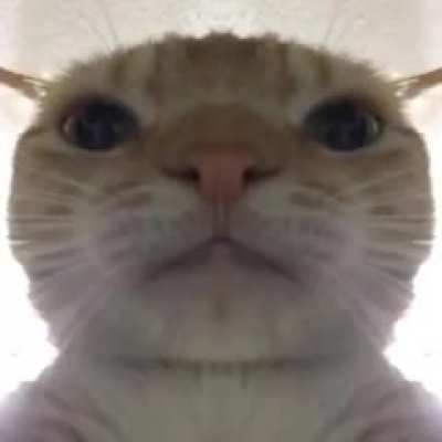 algu&eacute;m poderia me dar o link ?