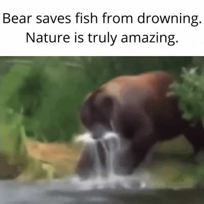 Nature