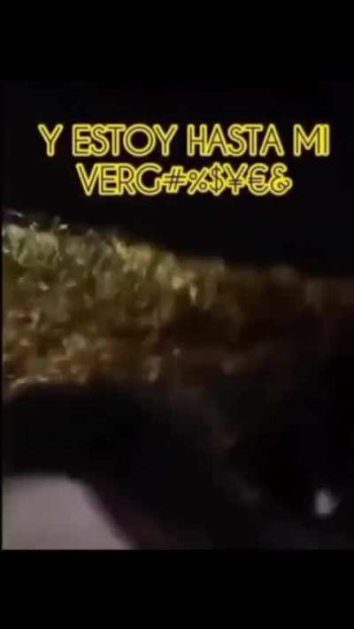 Lunes de ser como Pepe