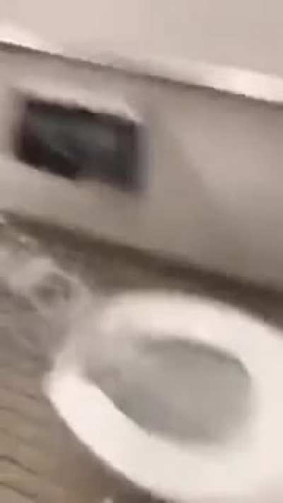 Tay_5 - Video #6310