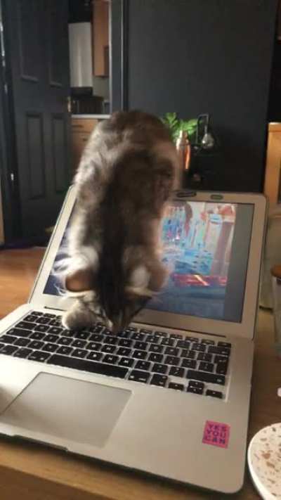 Nessie woke up from her nap just to do this