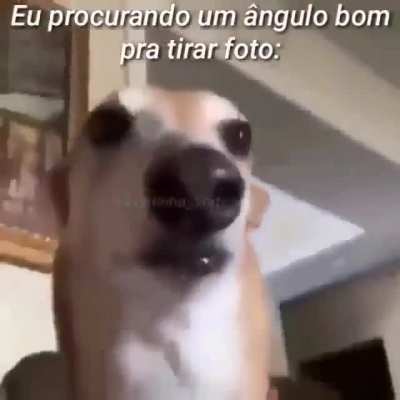 Um titulo interessante